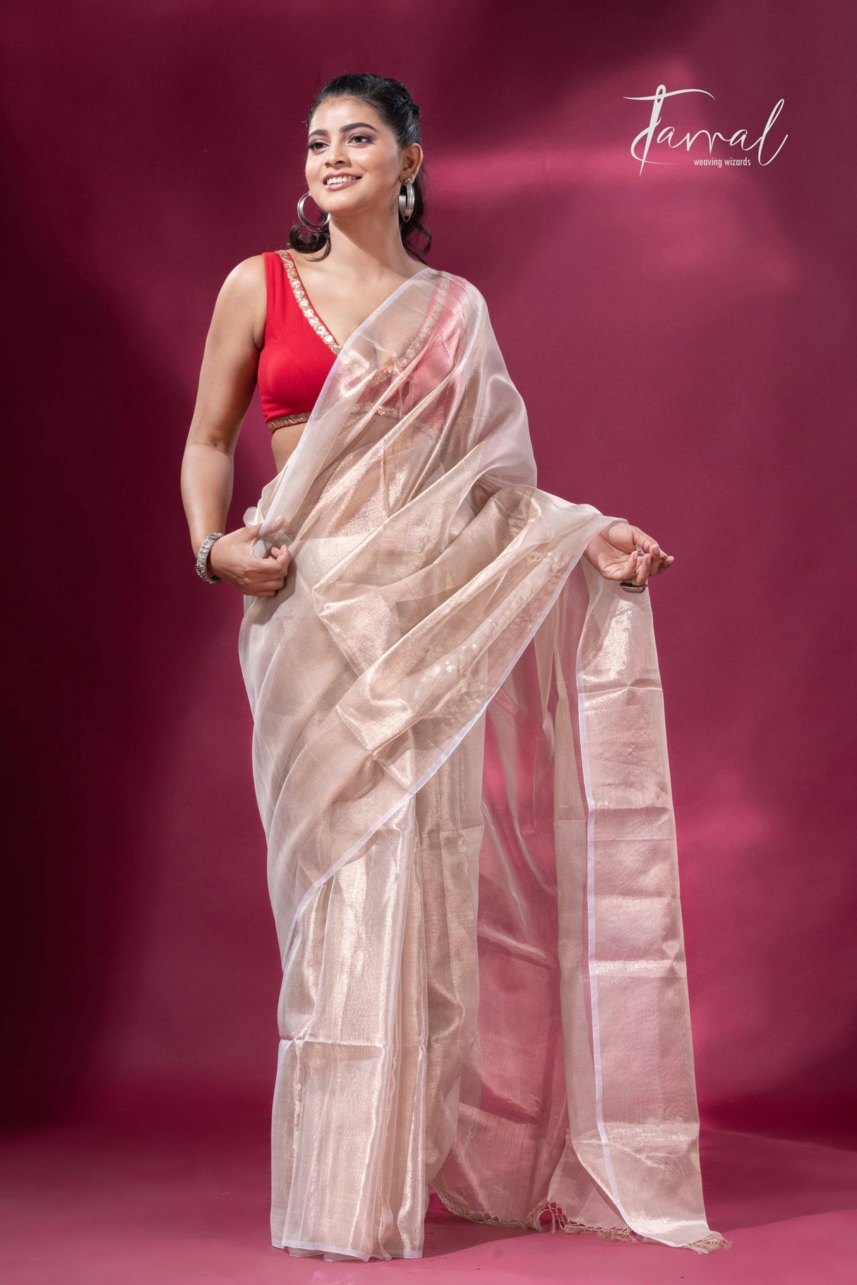 Handloom Tissue Cream Organza Silk Saree3