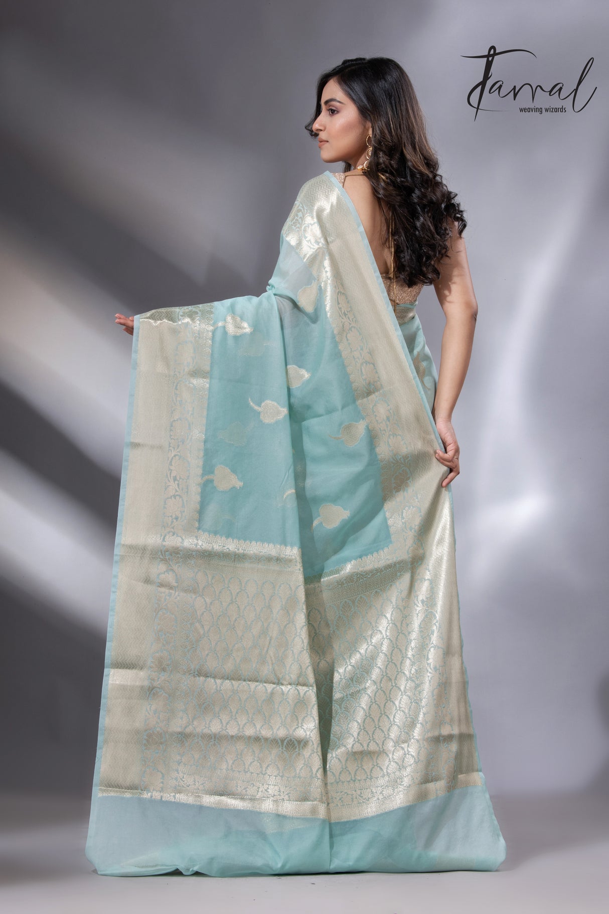 Light sea green with zari work organza silk leafy banarasi handloom saree