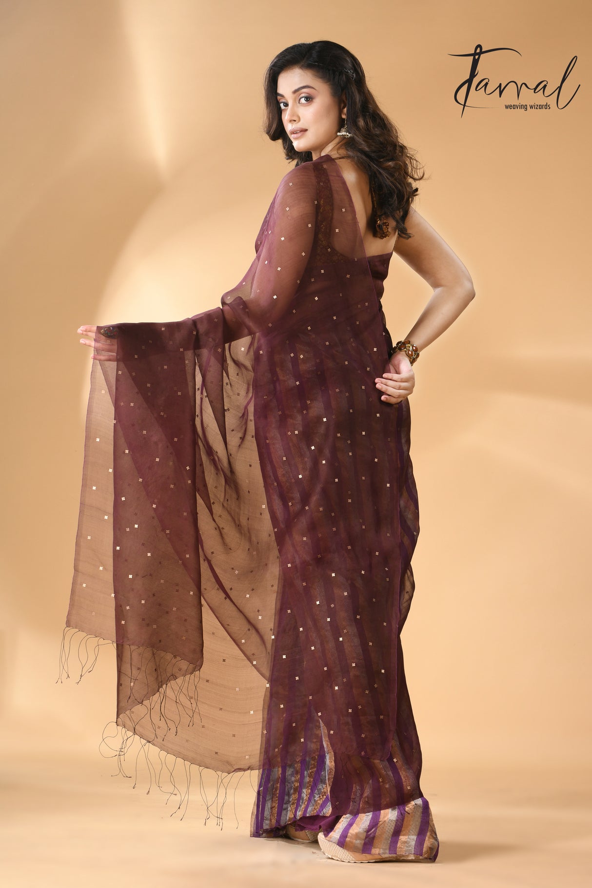 Brown muslin sequins with striped noil silk handloom saree