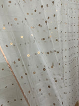White with zari border paithani sequins handwoven organza silk saree