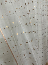 White with zari border paithani sequins handwoven organza silk saree - Tamal Boutique